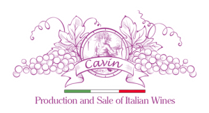 Cavin Srl